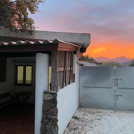 Casa Toloi Apartment Dorgali Bagian luar foto