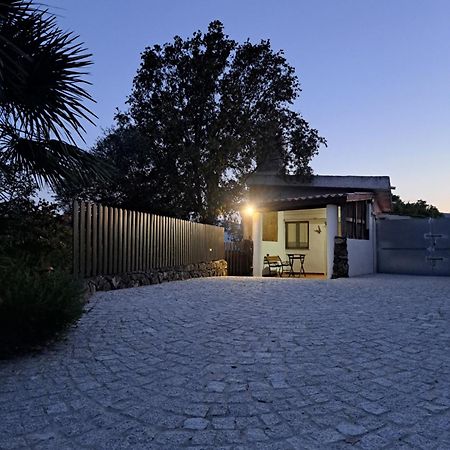 Casa Toloi Apartment Dorgali Bagian luar foto