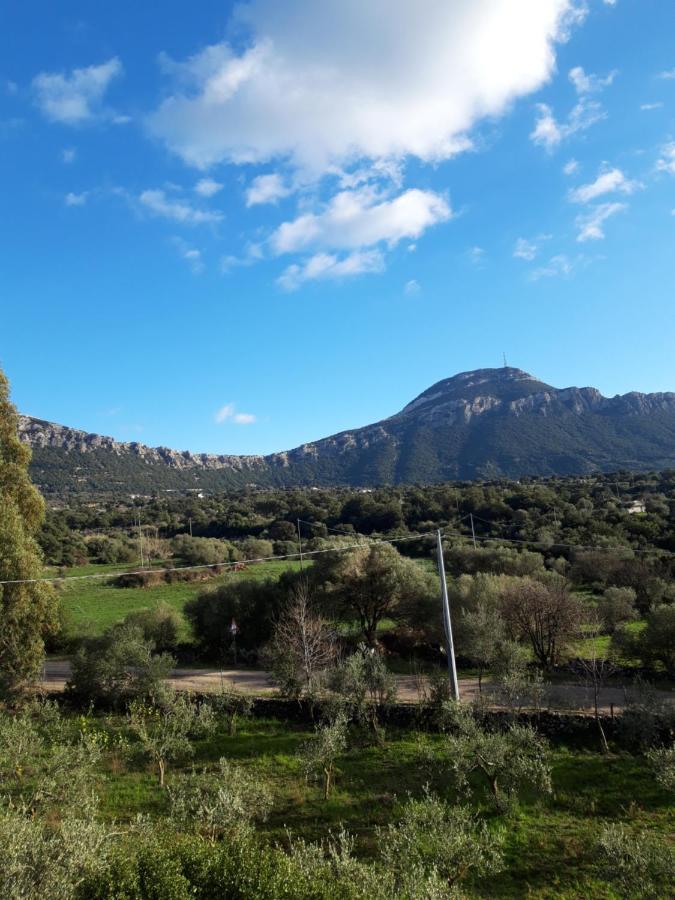 Casa Toloi Apartment Dorgali Bagian luar foto
