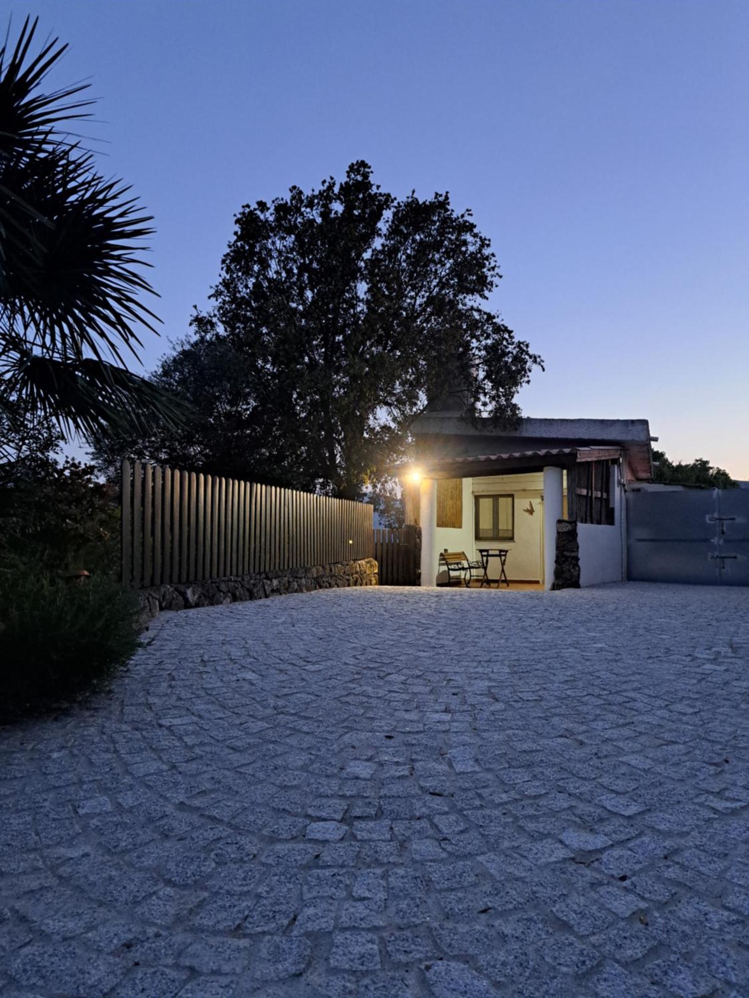 Casa Toloi Apartment Dorgali Bagian luar foto