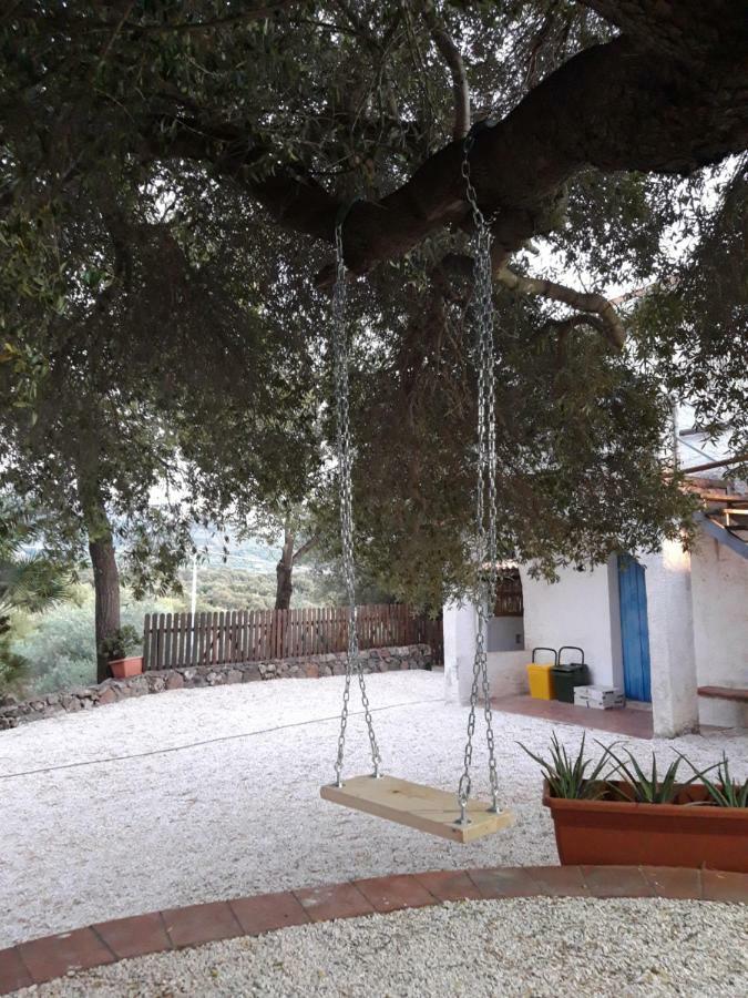 Casa Toloi Apartment Dorgali Bagian luar foto